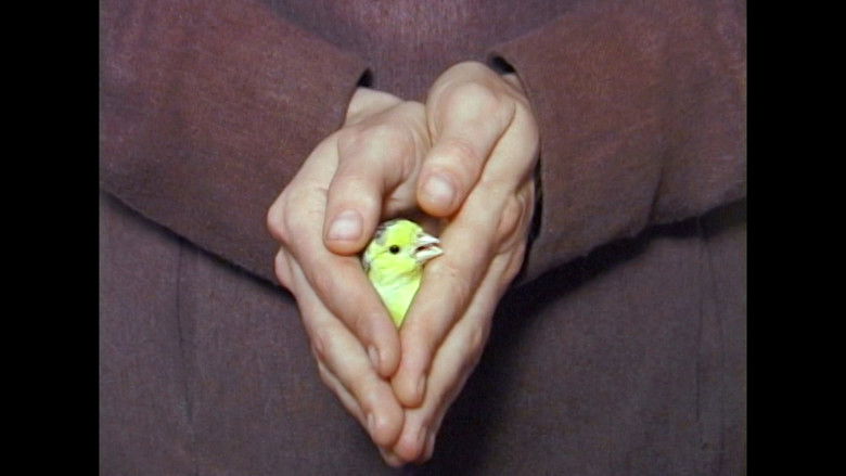 кадр из фильма BIRD IN THE SKY