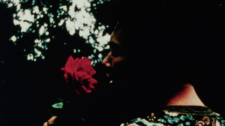 кадр из фильма Jerovi