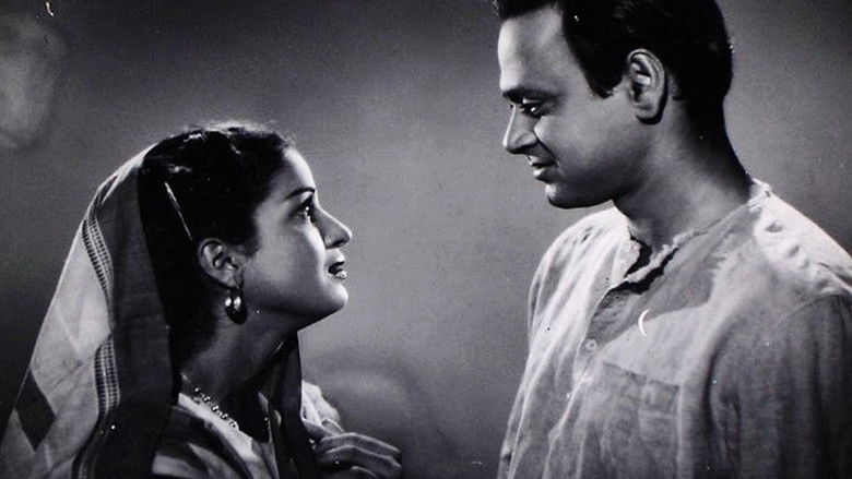 кадр из фильма Бирадж Баху