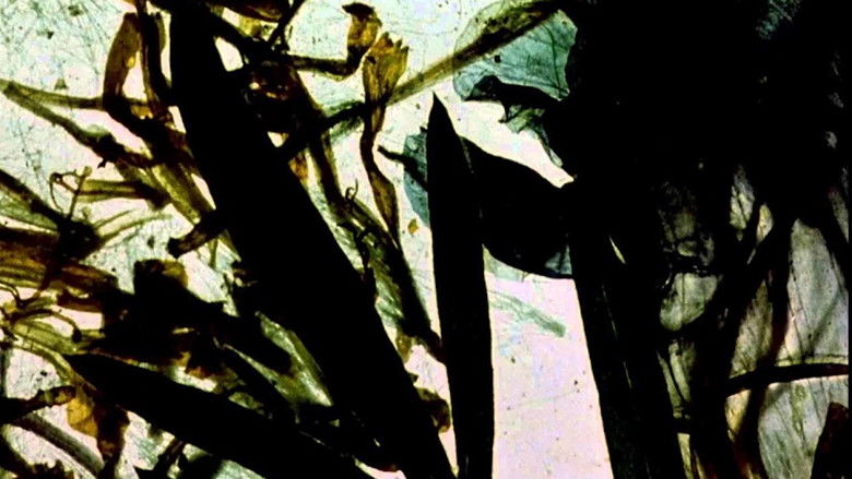 кадр из фильма The Garden of Earthly Delights