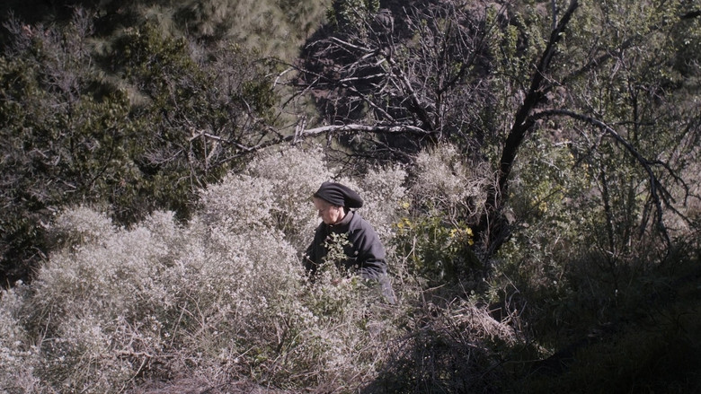 кадр из фильма La hojarasca