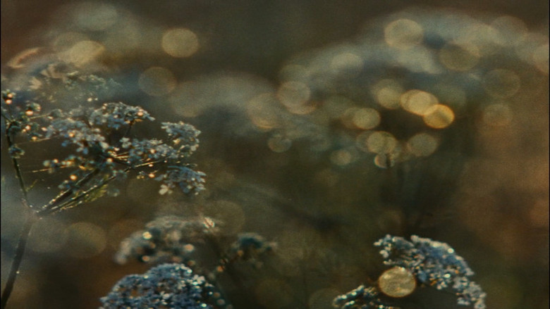 кадр из фильма Všichni dobří rodáci