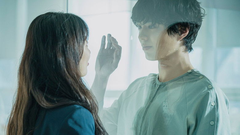 кадр из фильма 원더랜드