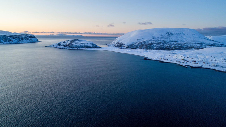 кадр из фильма La Quête du sauvage