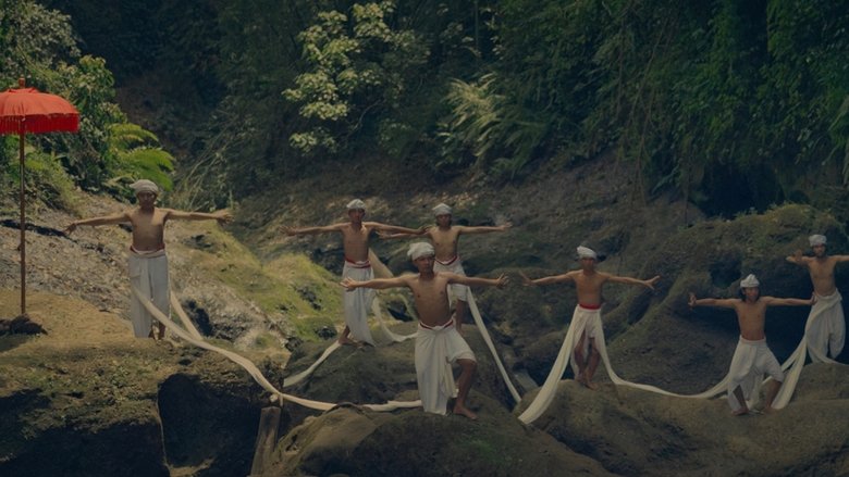 кадр из фильма Where the Wild Frangipanis Grow