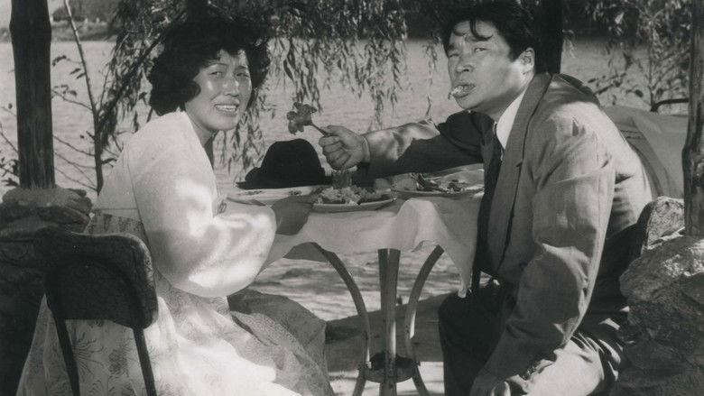 кадр из фильма 사랑방 손님과 어머니