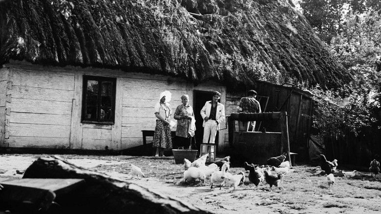 кадр из фильма Party przy świecach