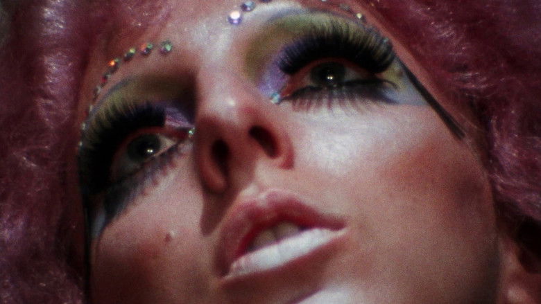 кадр из фильма Luminous Procuress