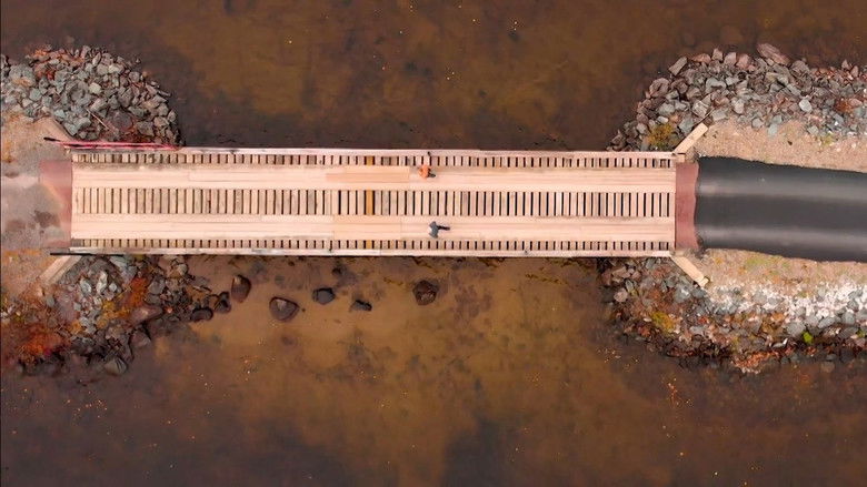 кадр из фильма That Feeling, You Can Only Say What It Is In French