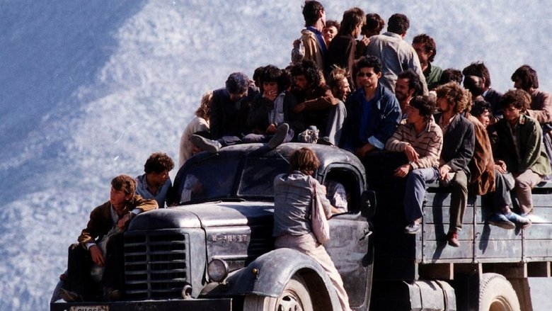 кадр из фильма Lamerica