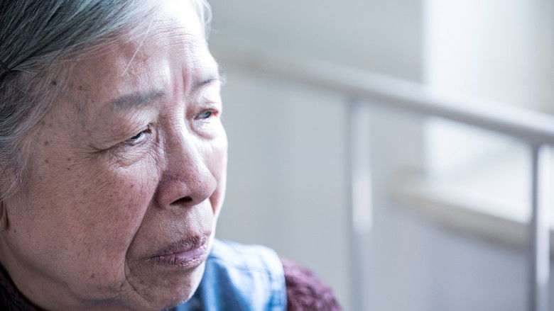 кадр из фильма 紅棗薏米花生