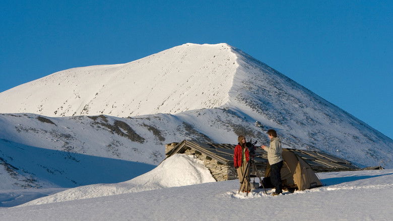 кадр из фильма Appelsinpiken