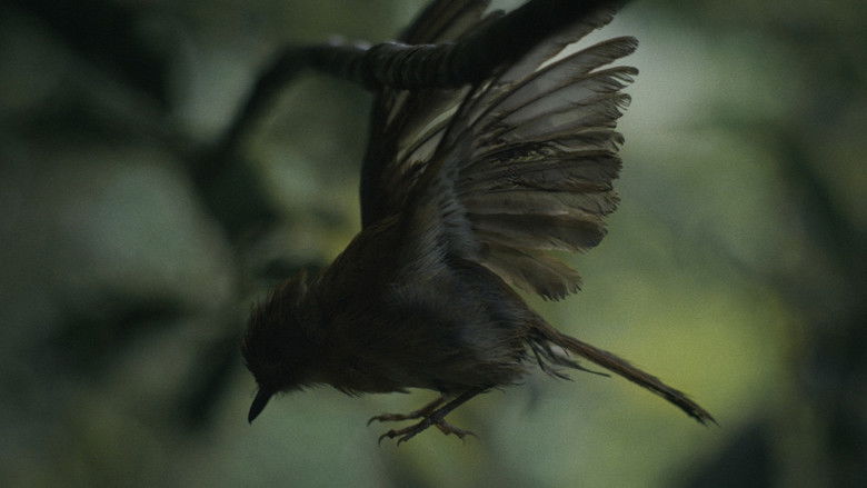 кадр из фильма Broken Wings