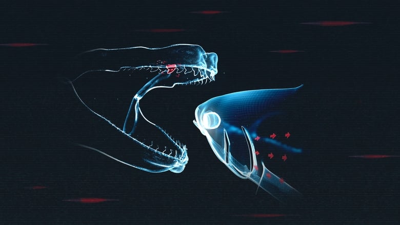 кадр из фильма Акула против тунца