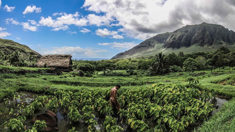 кадр из фильма Hoʻomau