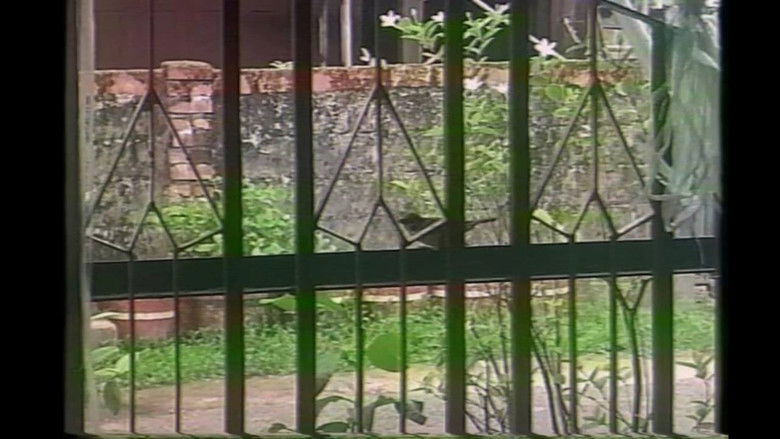 кадр из фильма နှင်းစက်