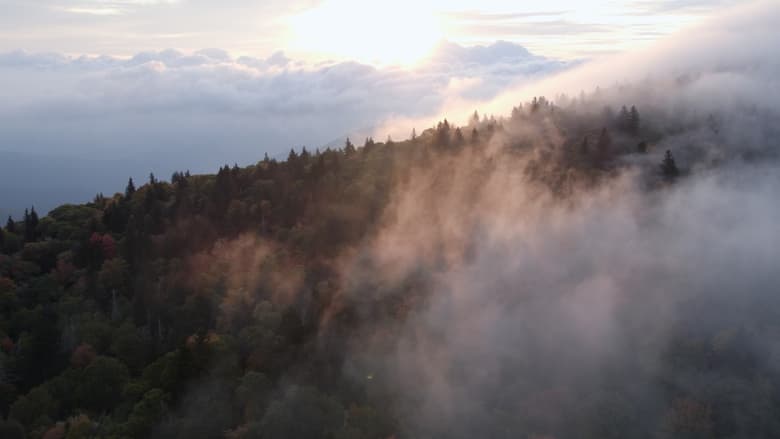 кадр из фильма The River Runs On