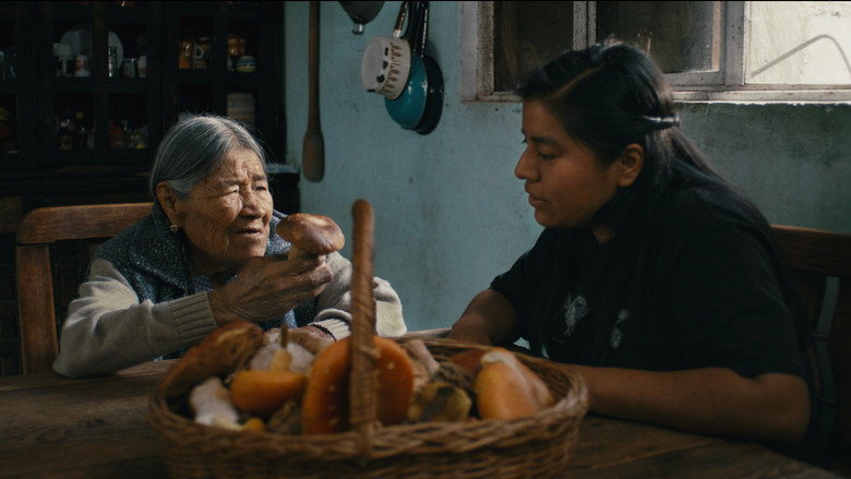кадр из фильма Daughters of the Forest