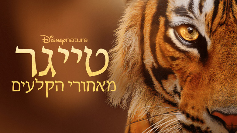 кадр из фильма Tigers on the Rise