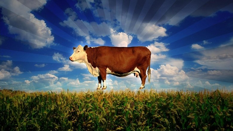 Корпорация «Еда»