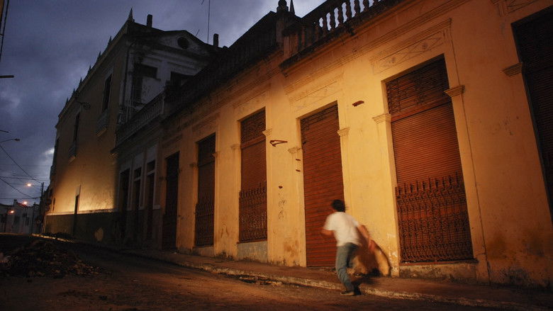 кадр из фильма O Plano do Cachorro