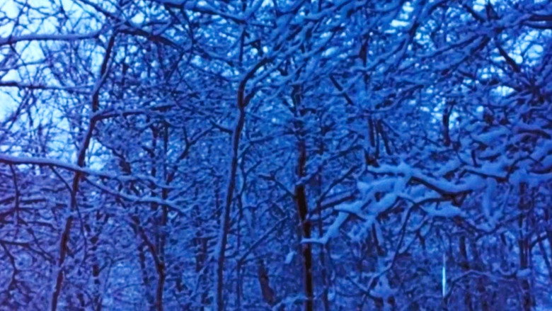 кадр из фильма Hours for Jerome