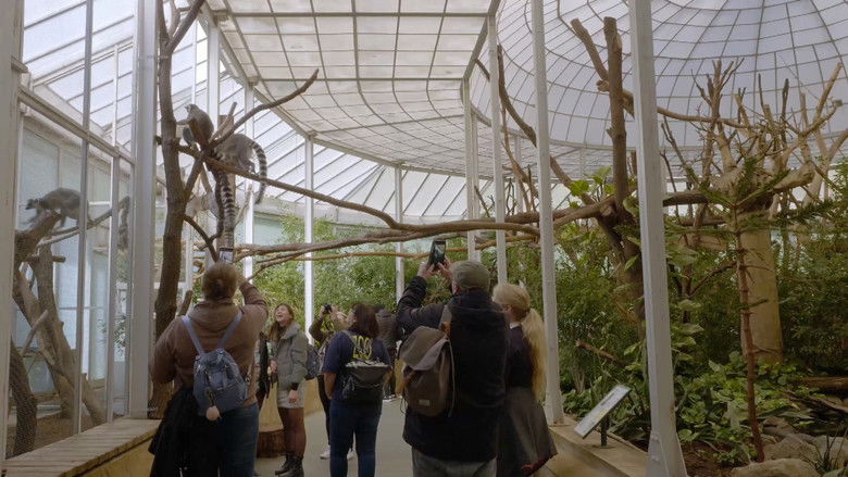 кадр из фильма Sissi zsiráfjától a biodómig