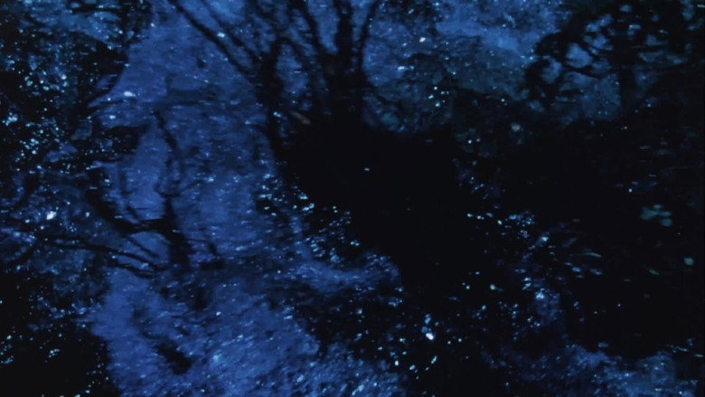 кадр из фильма River Film