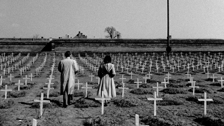 кадр из фильма Daleká cesta