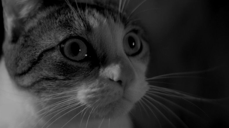 кадр из фильма Девушка возвращается одна ночью домой