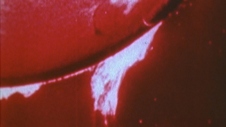 кадр из фильма Sonnenstube