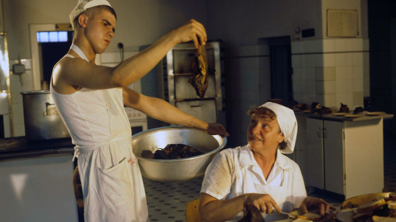 кадр из фильма Yesterday