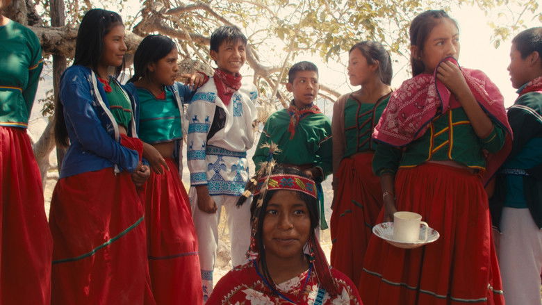 кадр из фильма Tei Mɨayema