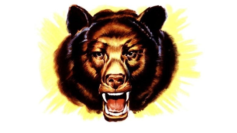 кадр из фильма Bear Country