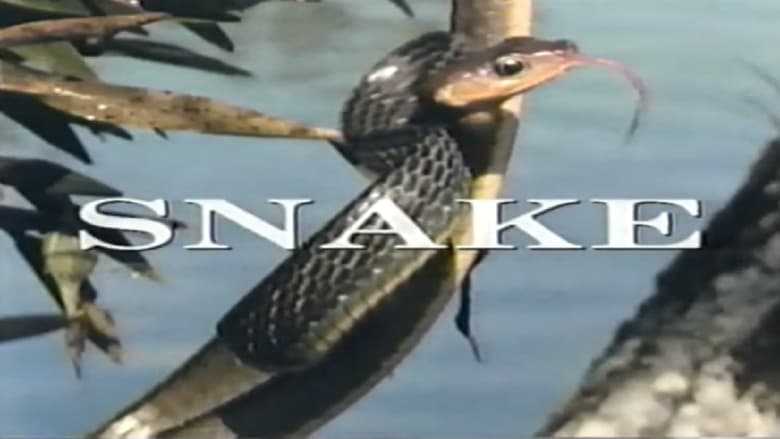кадр из фильма Predators of the Wild: Snake