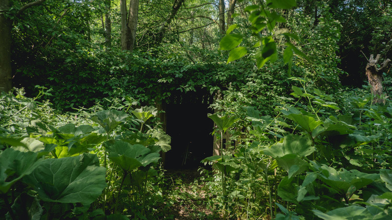 кадр из фильма Behind The Garden Gate