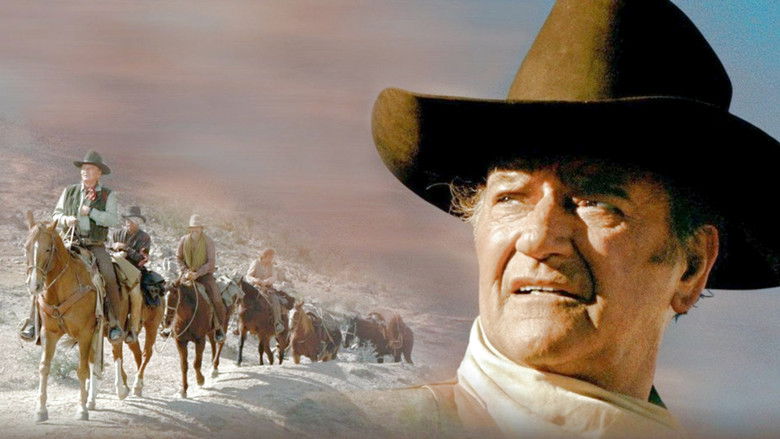 кадр из фильма Жестяная звезда