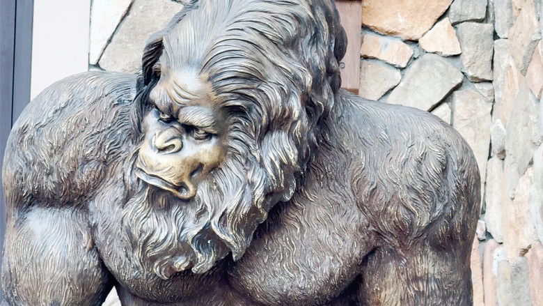 кадр из фильма Creative Eye