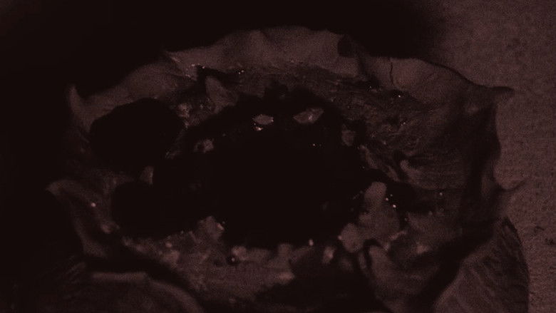 кадр из фильма Silent Trespasser