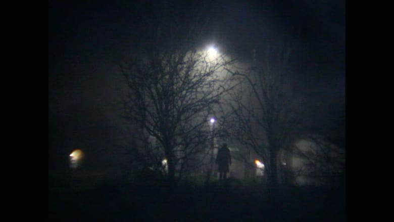 кадр из фильма The Present Green