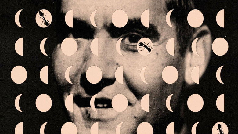 кадр из фильма Luna Negra