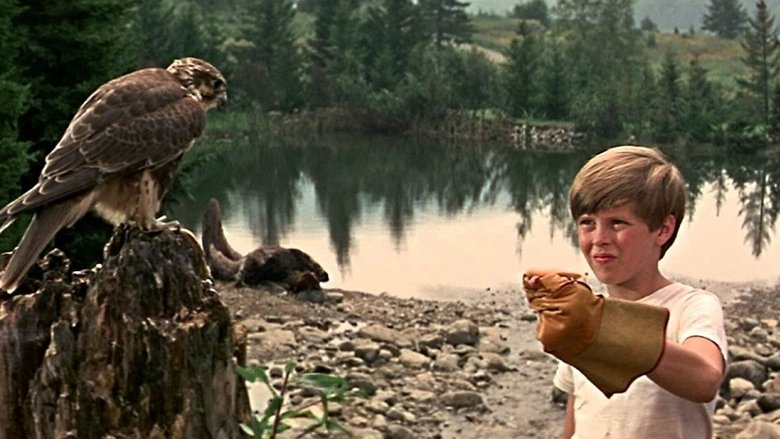 кадр из фильма Моя сторона горы