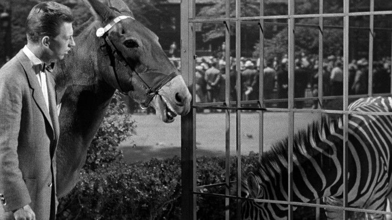 кадр из фильма Francis Covers the Big Town