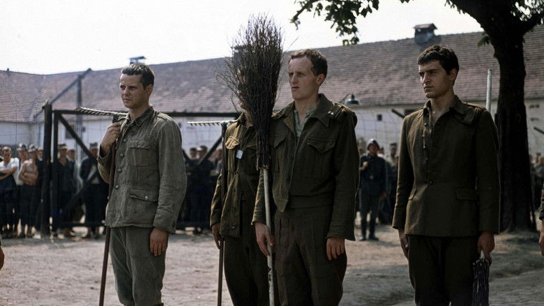 кадр из фильма Olimpiada 40