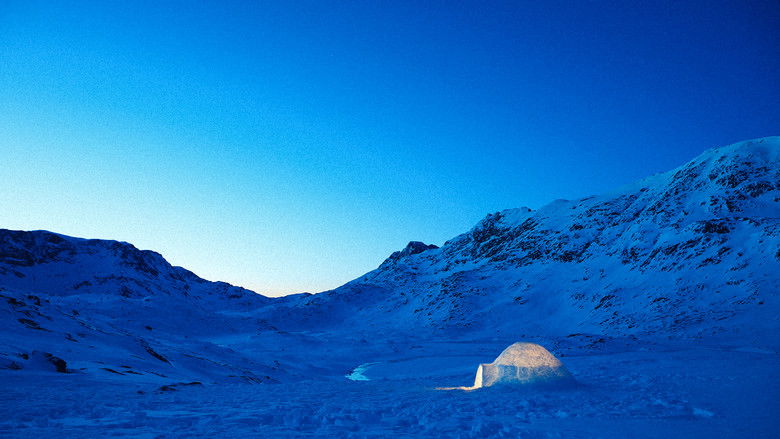 кадр из фильма The Last Igloo