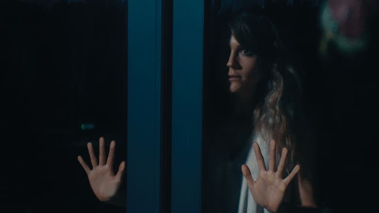 Обнаружено движение