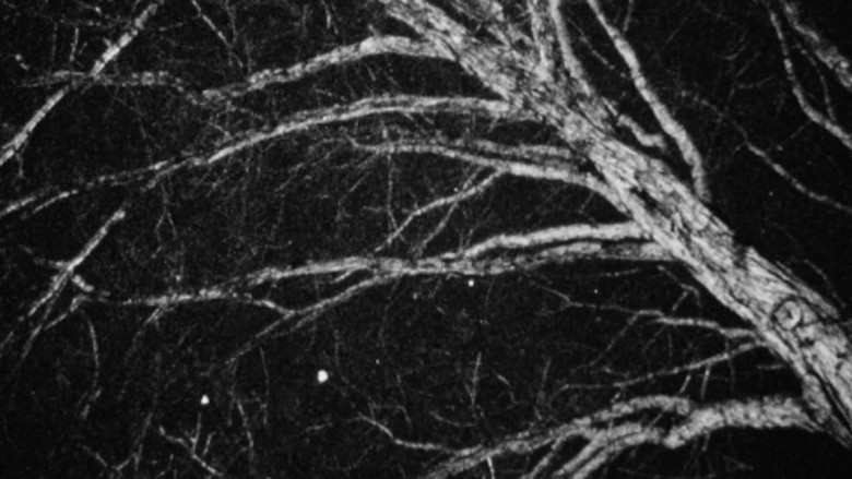 кадр из фильма Nocturne