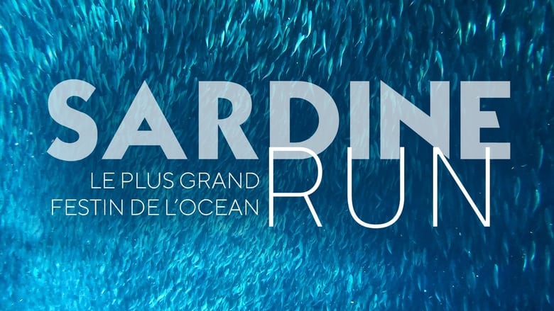 кадр из фильма Sardine Run, le plus grand festin de l'océan