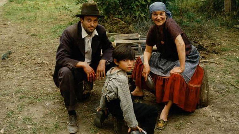 кадр из фильма Halgato