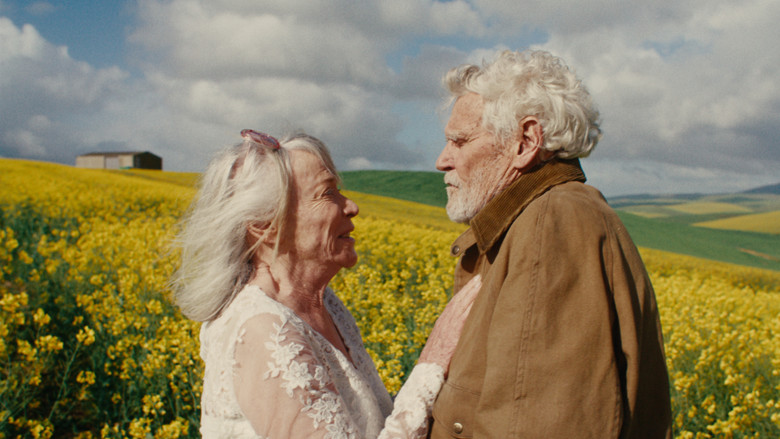 кадр из фильма A Kind of Madness